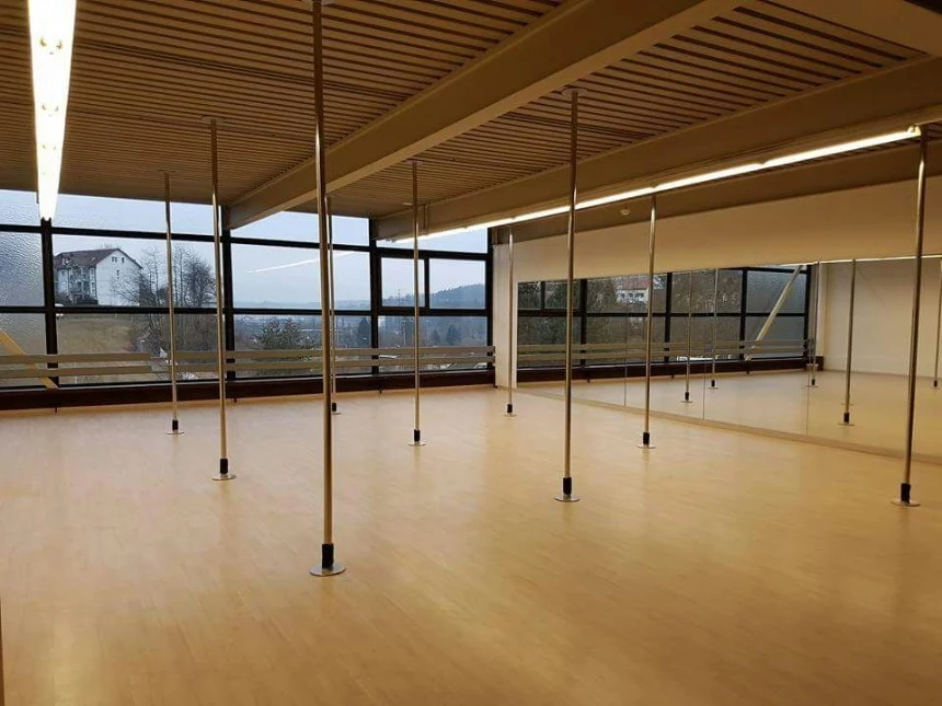 Lichtdurchflutetes Polestyle-Studio mit Pole-Stangen und Fensterfront
